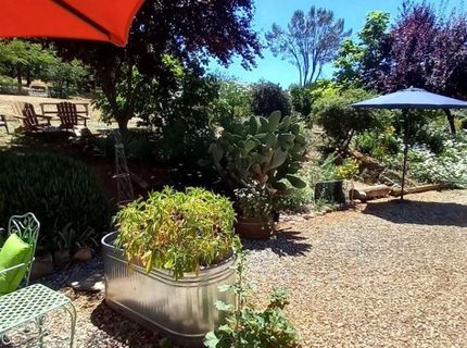 15579 Jesus Maria, Mokelumne Hill, CA 95245 Photo