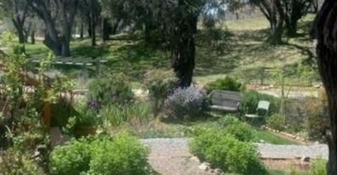 15579 Jesus Maria, Mokelumne Hill, CA 95245 Photo