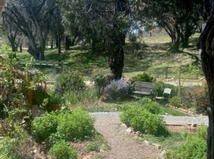 15579 Jesus Maria, Mokelumne Hill, CA 95245 Photo