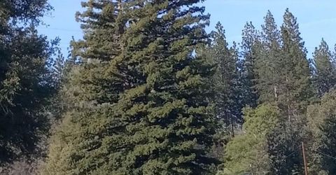 15579 Jesus Maria, Mokelumne Hill, CA 95245 Photo