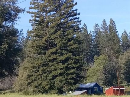 15579 Jesus Maria, Mokelumne Hill, CA 95245 Photo