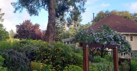 15579 Jesus Maria, Mokelumne Hill, CA 95245 Photo