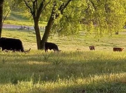 15579 Jesus Maria, Mokelumne Hill, CA 95245 Photo