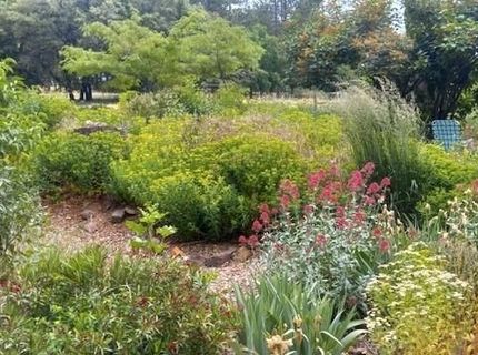 15579 Jesus Maria, Mokelumne Hill, CA 95245 Photo