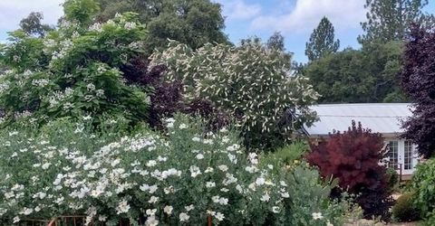 15579 Jesus Maria, Mokelumne Hill, CA 95245 Photo