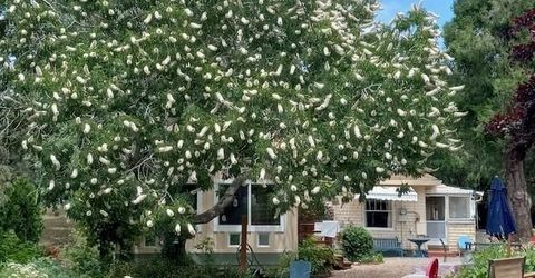 15579 Jesus Maria, Mokelumne Hill, CA 95245 Photo