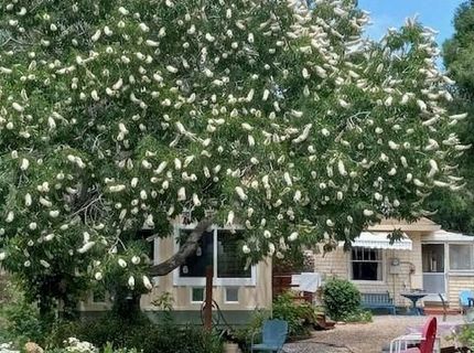 15579 Jesus Maria, Mokelumne Hill, CA 95245 Photo