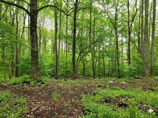 0 Periwinkle Path , Leoma, TN 38468