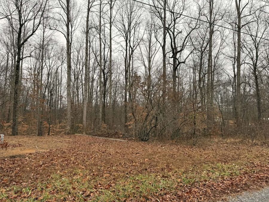 Property Image 7