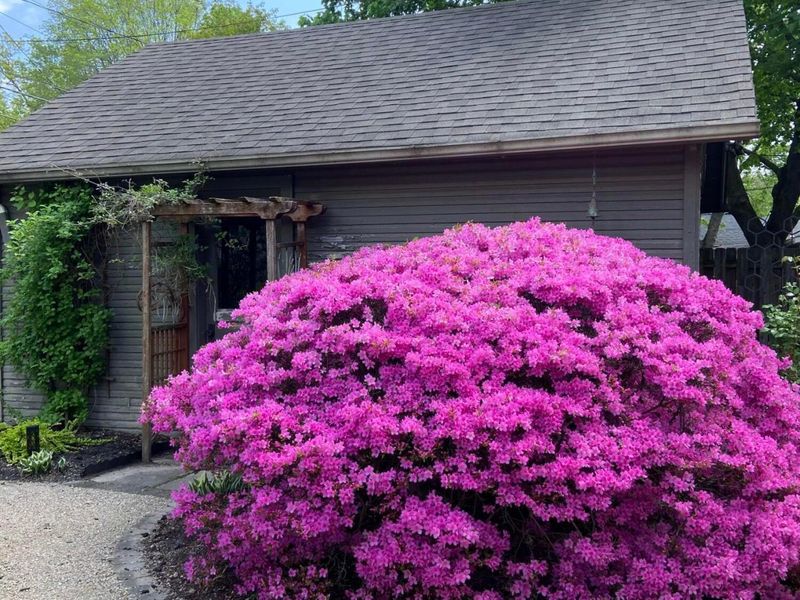 316 Acton Road, Columbus, OH 43214 Photo 58