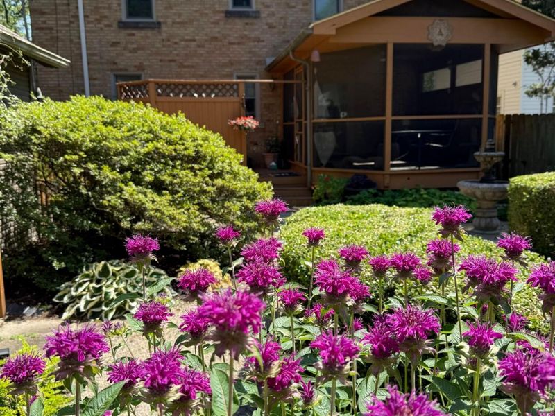 316 Acton Road, Columbus, OH 43214 Photo 60