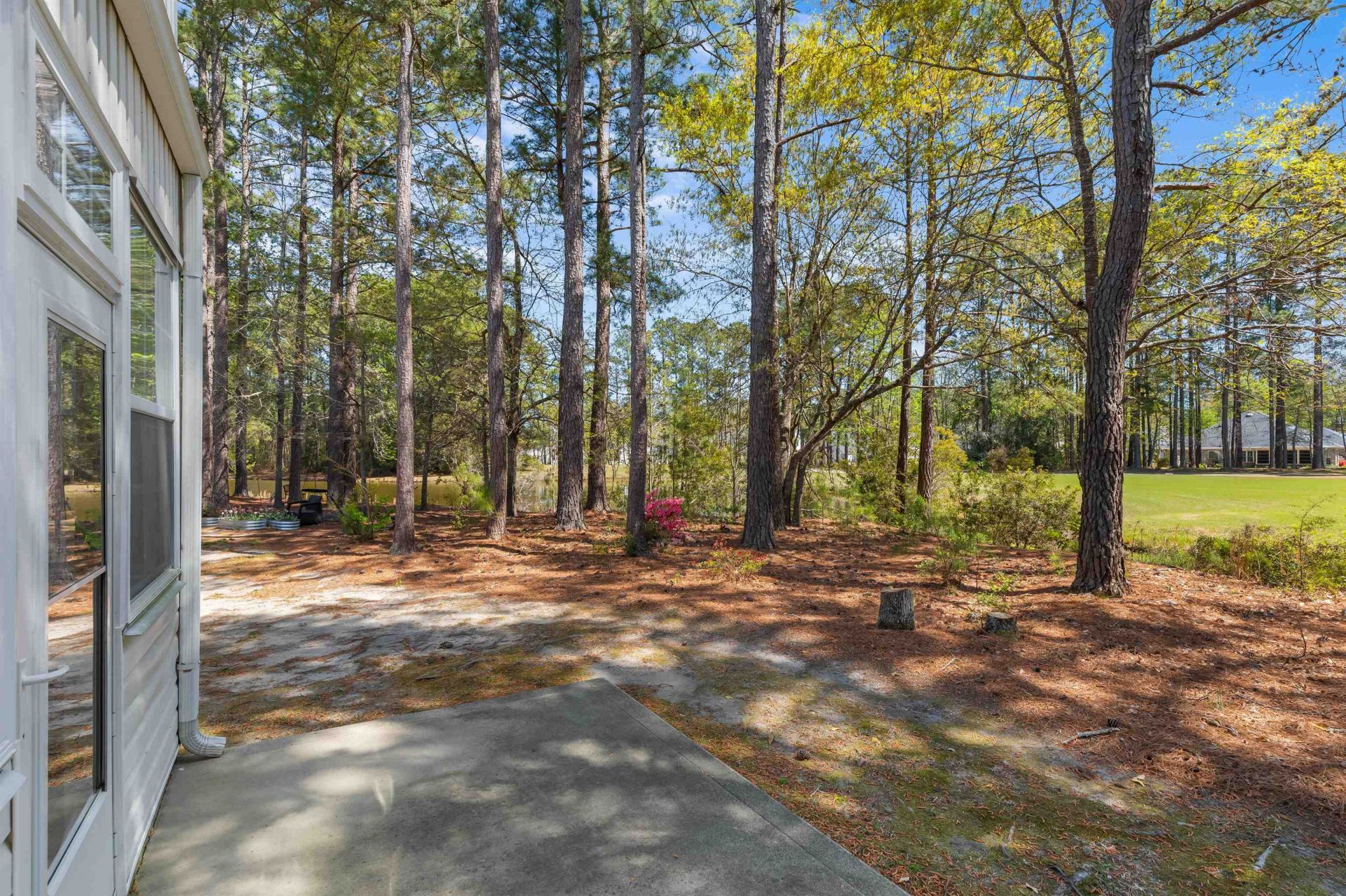 494 Colonial Trace Dr. Photo 12