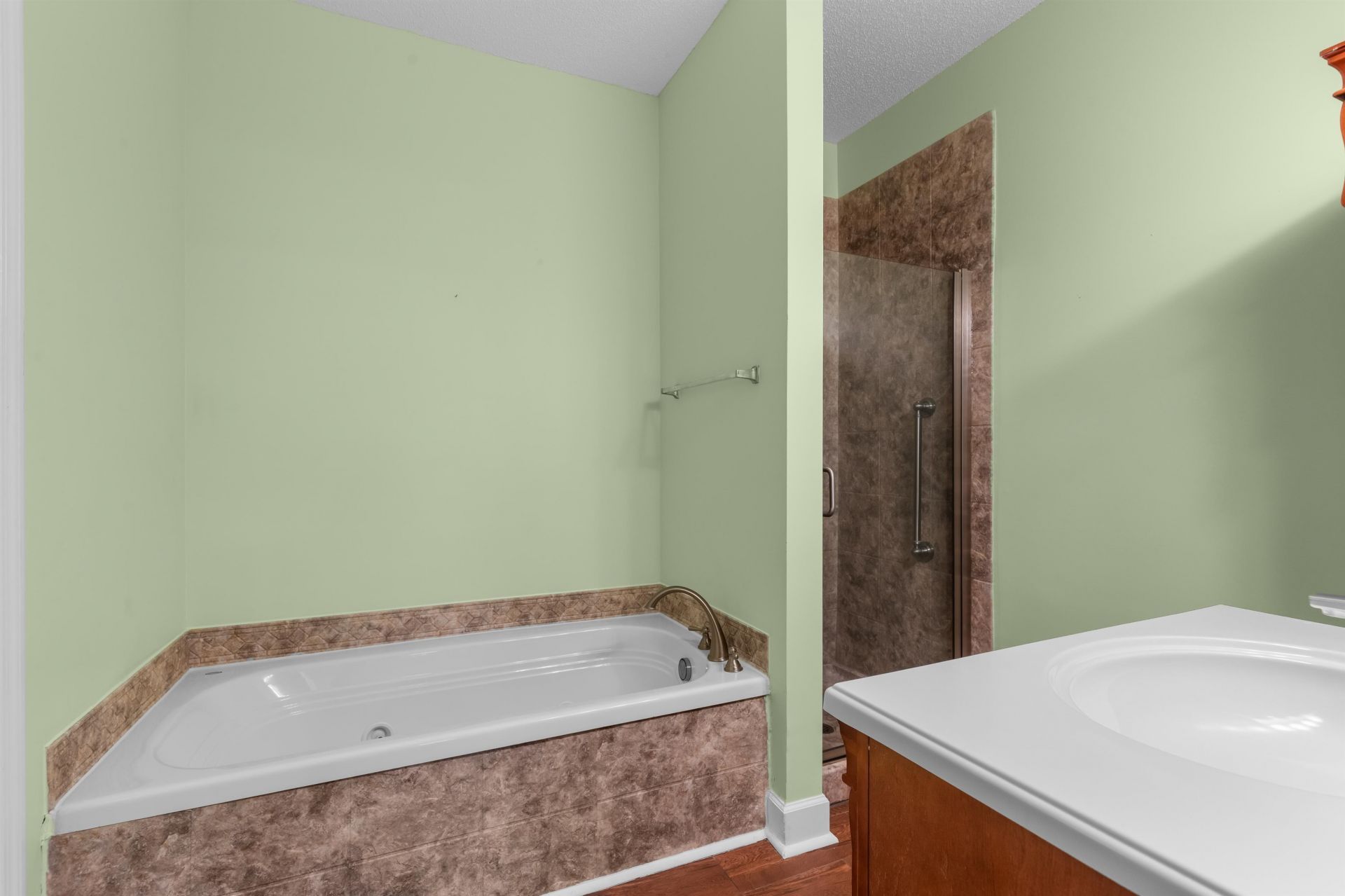 494 Colonial Trace Dr. Photo 16