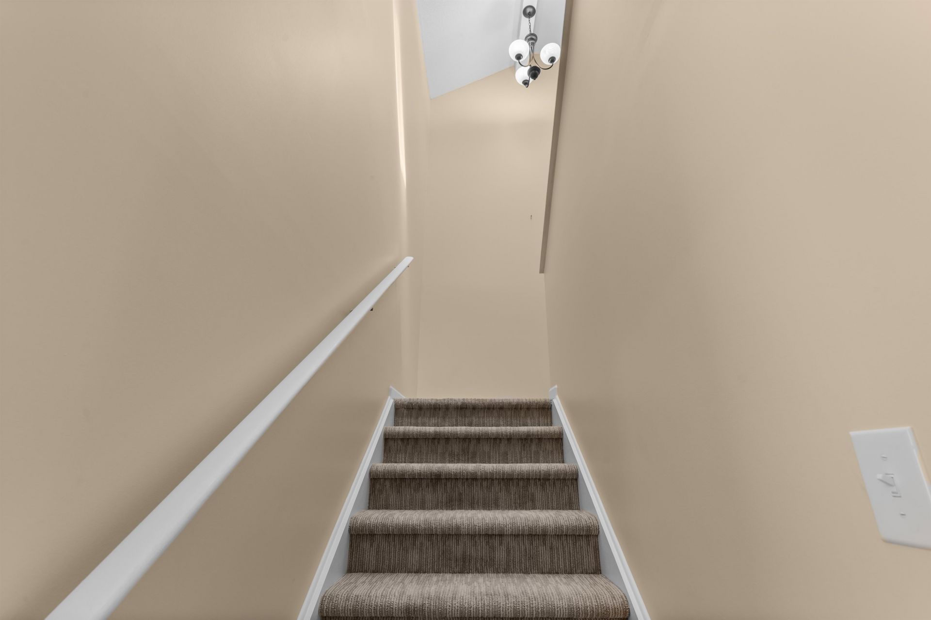 494 Colonial Trace Dr. Photo 19