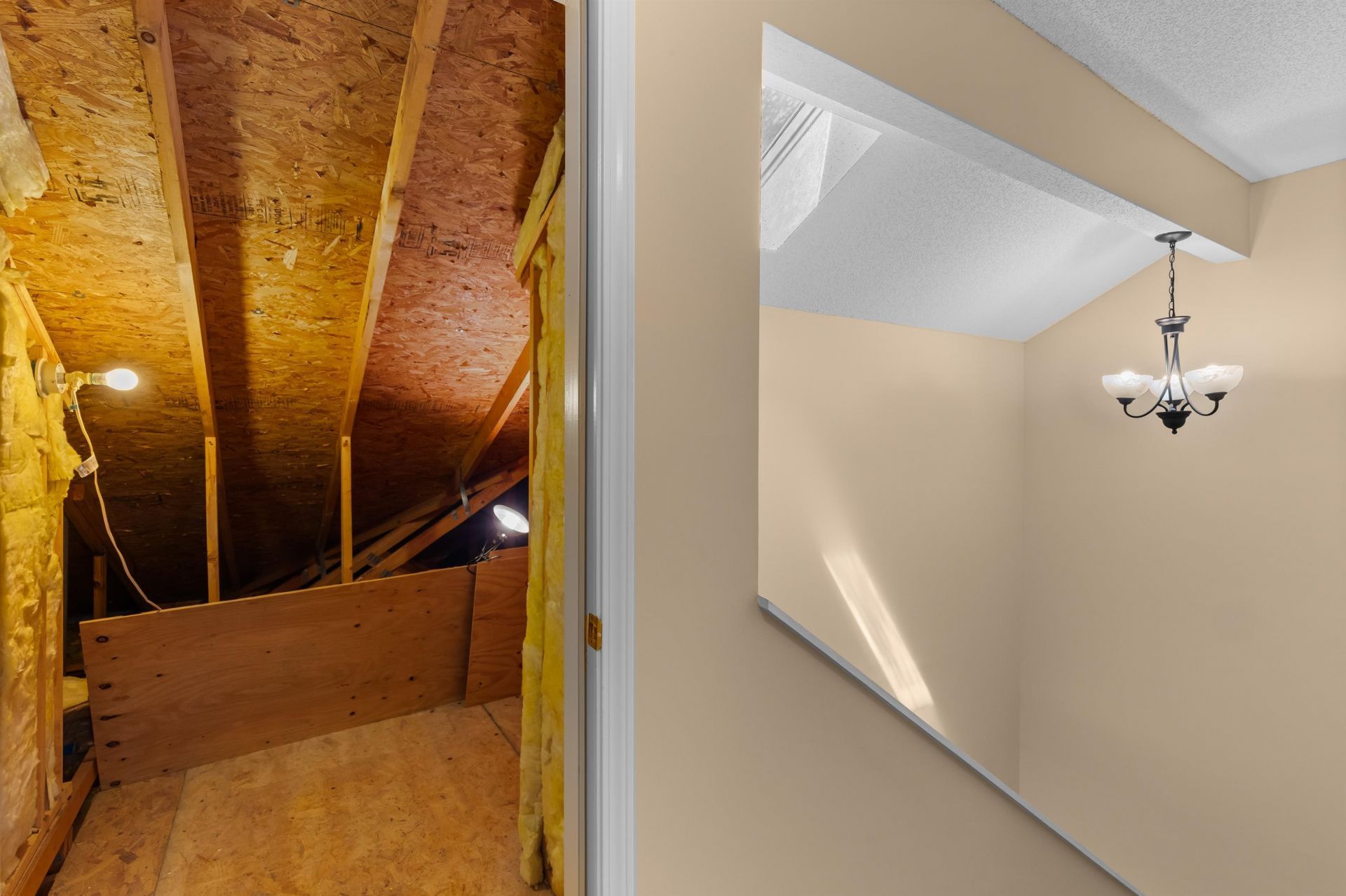 494 Colonial Trace Dr. Photo 20