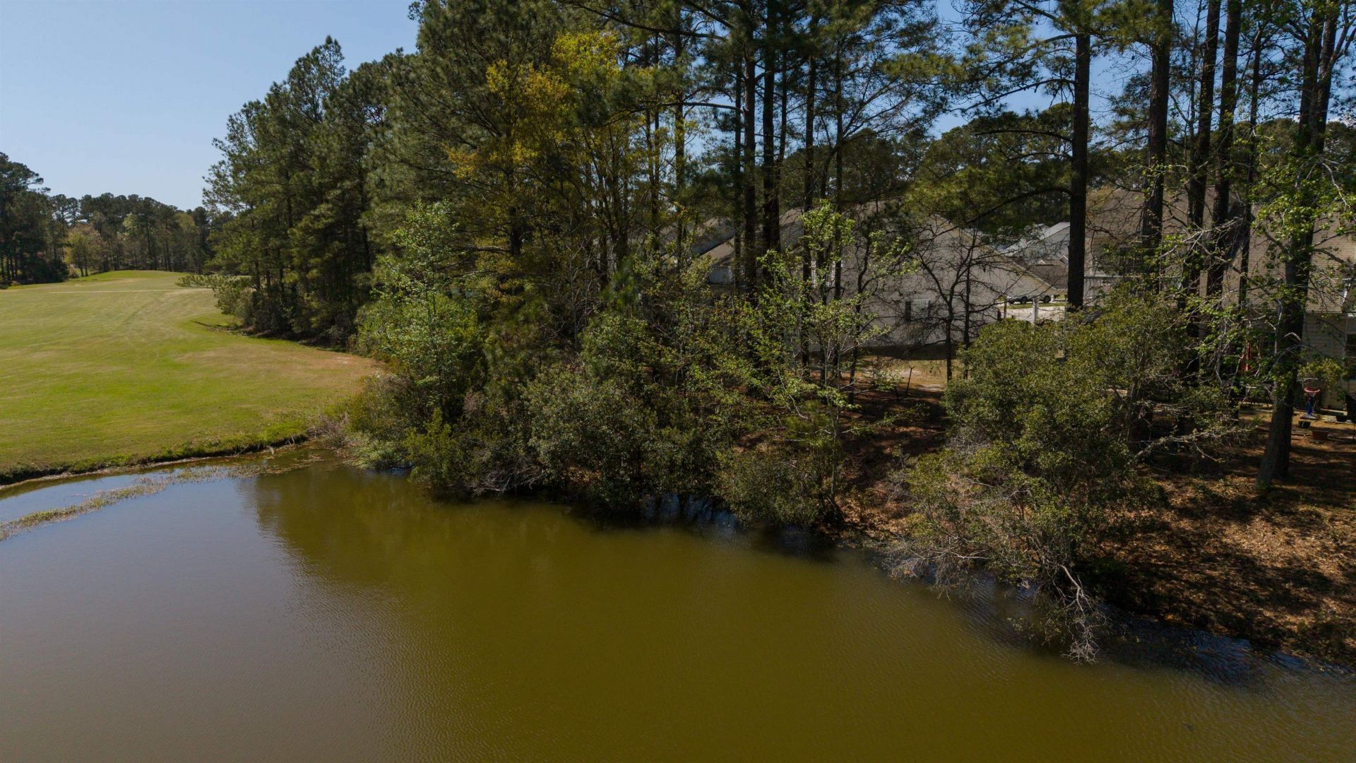 494 Colonial Trace Dr. Photo 37