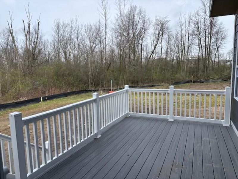 185 Black Oak Avenue, Marysville, OH 43040 Photo 5