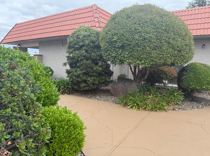 29 Calle Susanna, Elk Grove, CA 95624 Photo