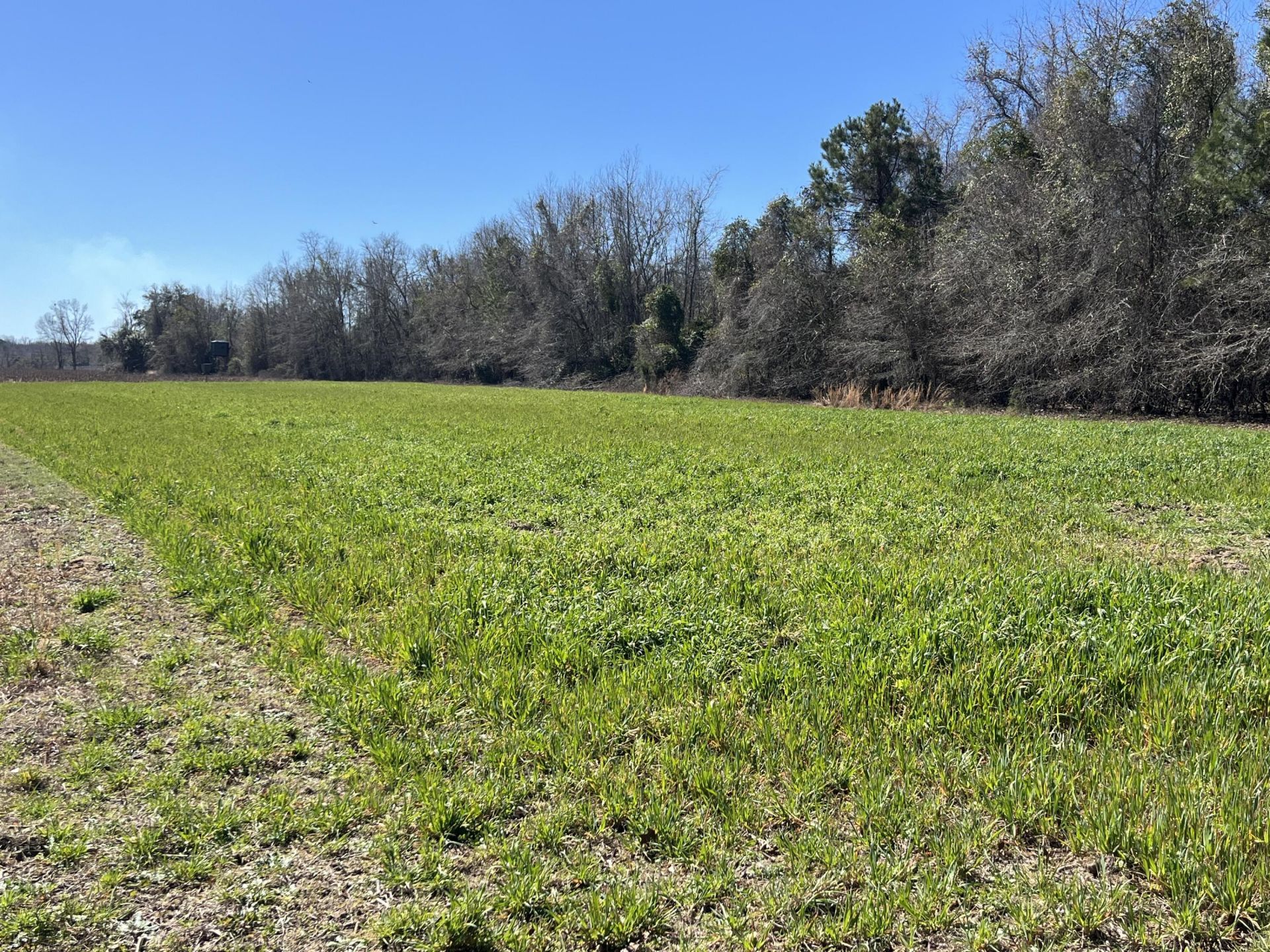 413 Lynchburg Road Photo 11