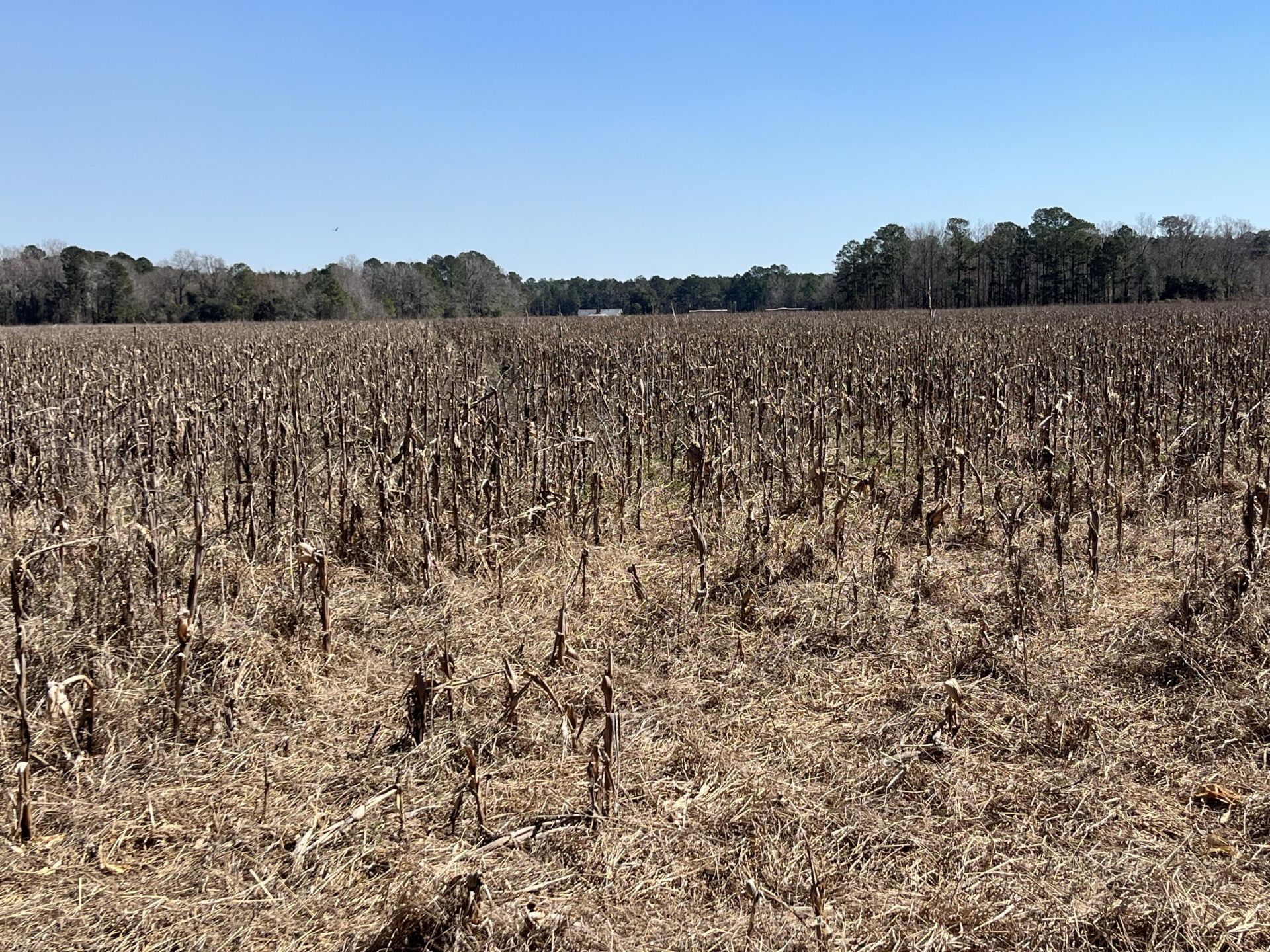 413 Lynchburg Road Photo 12