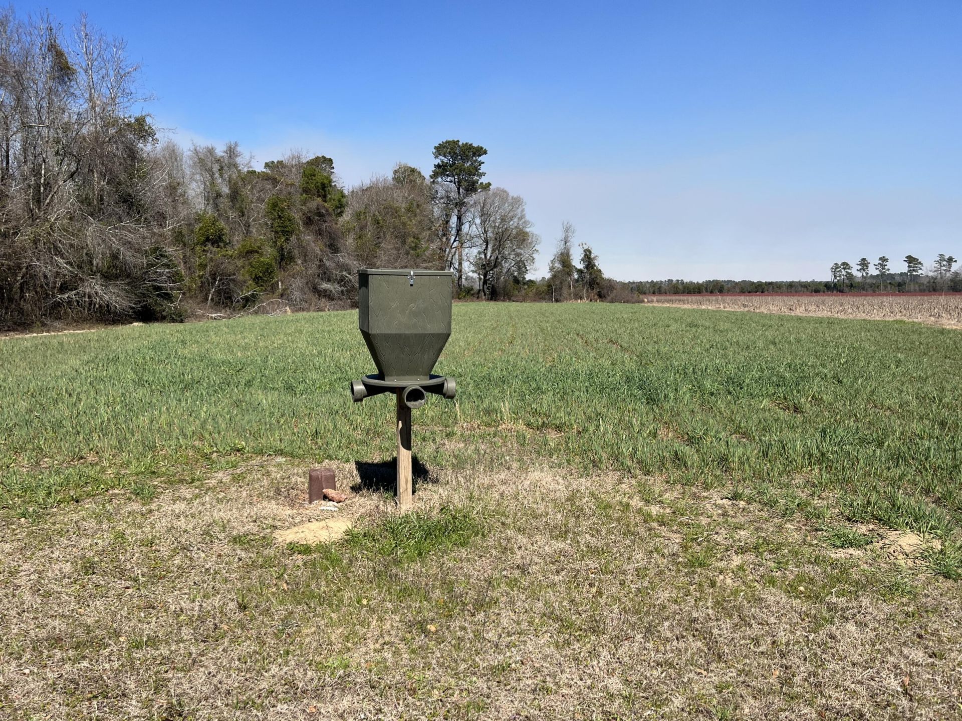 413 Lynchburg Road Photo 14