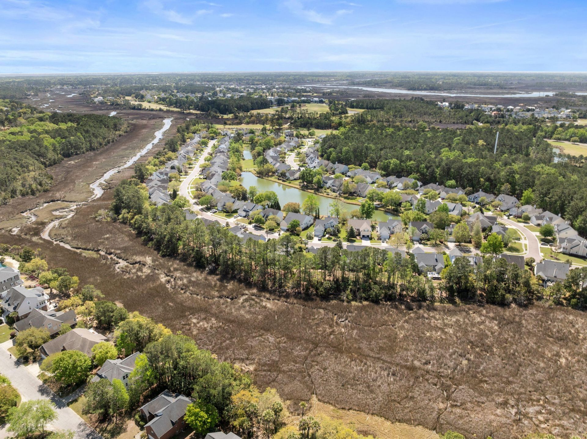 1892 Palmetto Isle Drive Photo 41