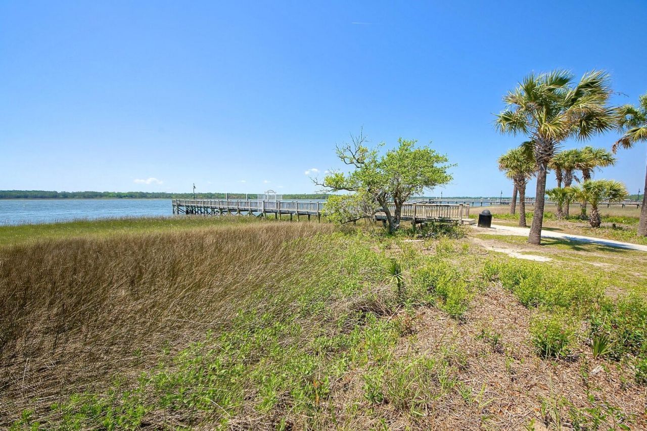 1892 Palmetto Isle Drive Photo 66