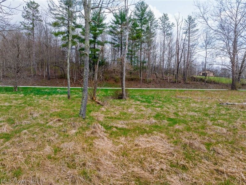 CHRISTIAN HILL RD , Cambridge, OH 43725 Photo 14