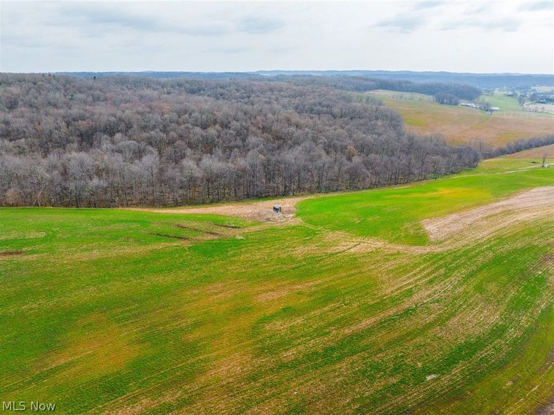 N American Road, Dover, OH 44622 Photo 10