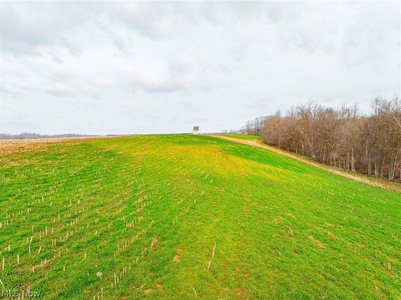 N American Road, Dover, OH 44622 Photo 15