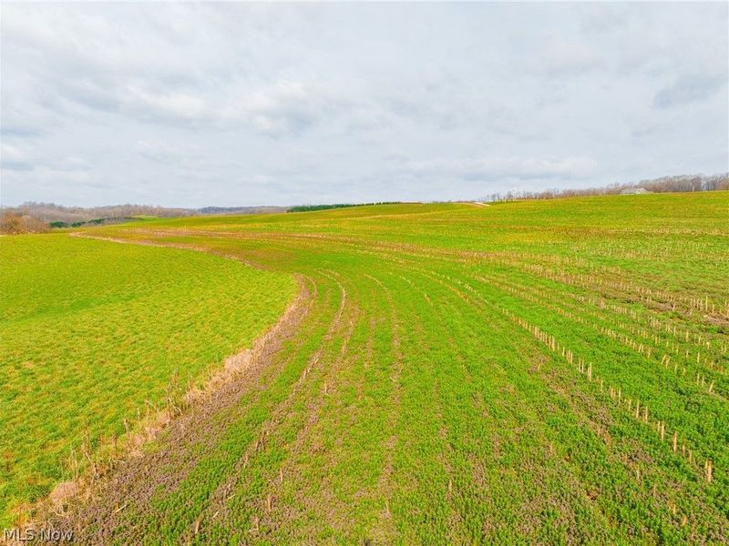 N American Road, Dover, OH 44622 Photo 18