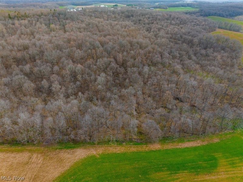 N American Road, Dover, OH 44622 Photo 21