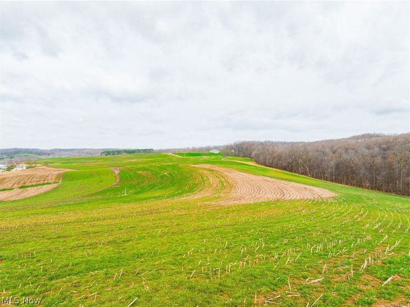 N American Road, Dover, OH 44622 Photo 25