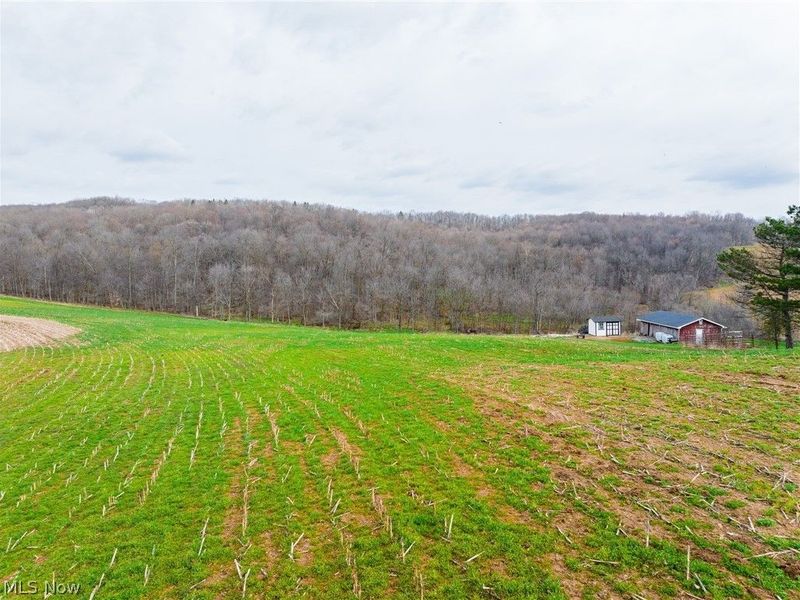 N American Road, Dover, OH 44622 Photo 26