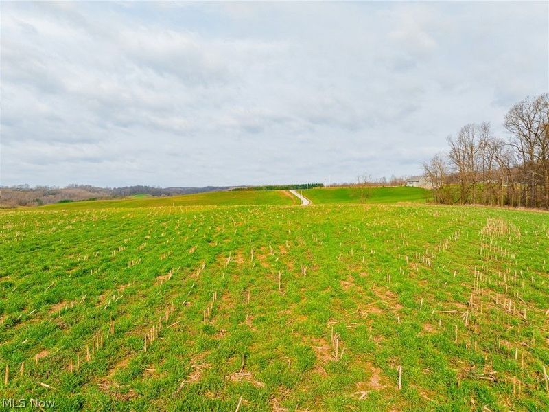 N American Road, Dover, OH 44622 Photo 36