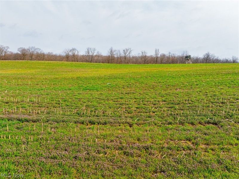 N American Road, Dover, OH 44622 Photo 39