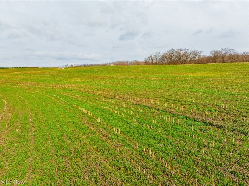 N American Road, Dover, OH 44622 Photo 4