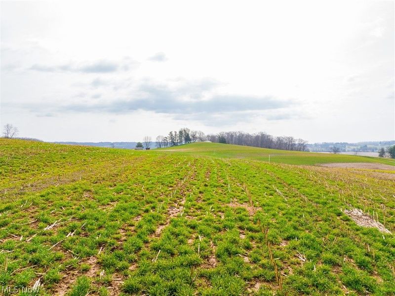 N American Road, Dover, OH 44622 Photo 40