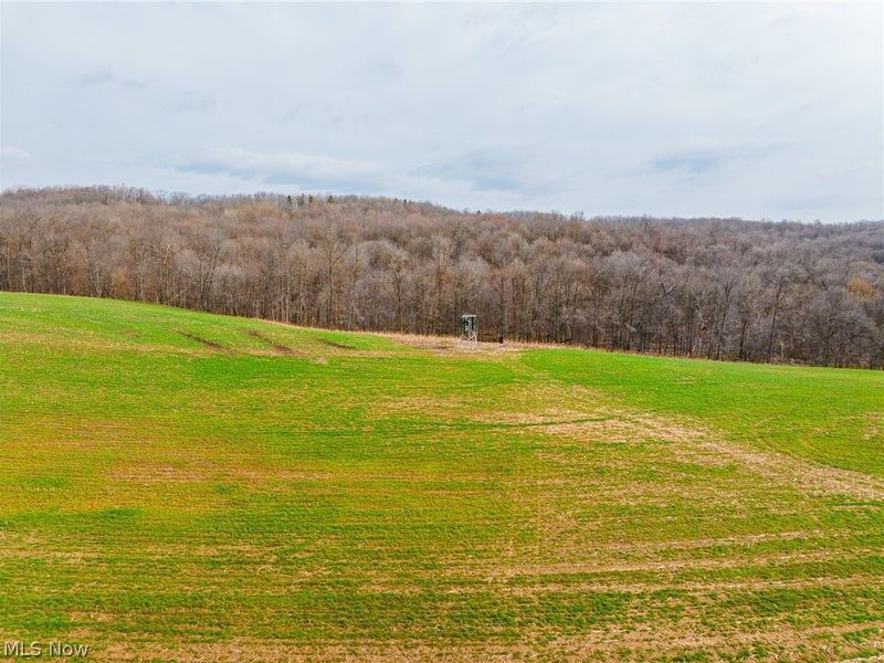 N American Road, Dover, OH 44622 Photo 42