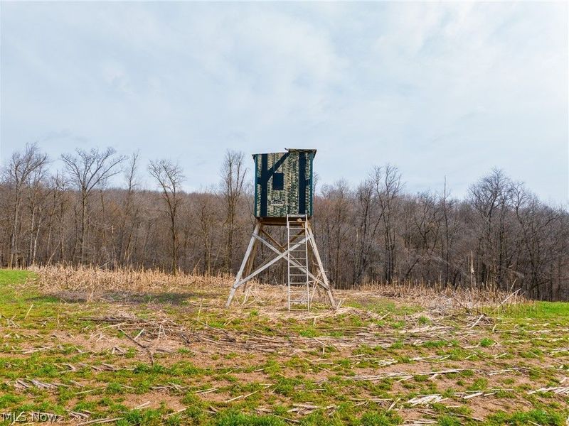 N American Road, Dover, OH 44622 Photo 44