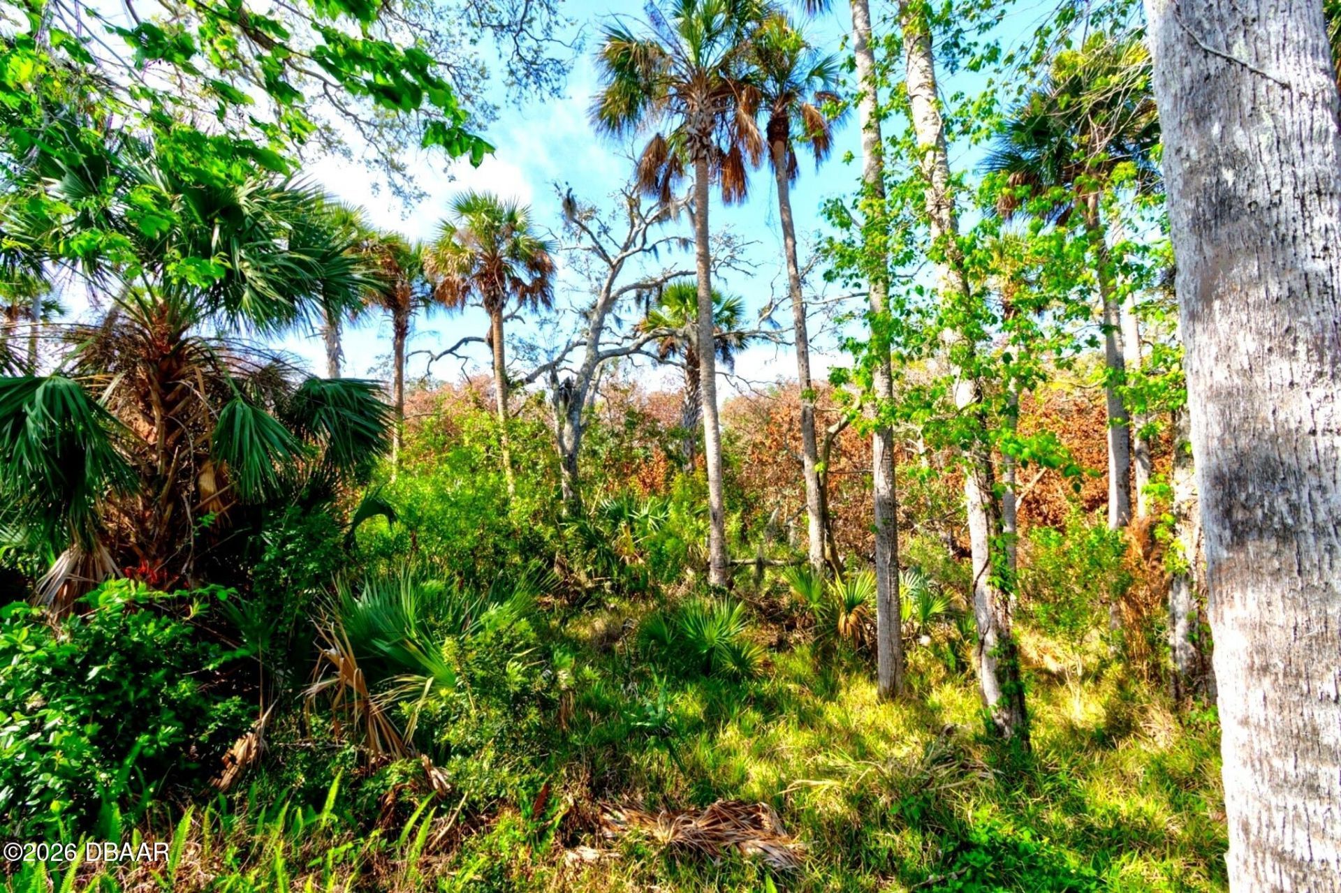 1508 Saxon Drive, New Smyrna Beach, FL 32169 Photo