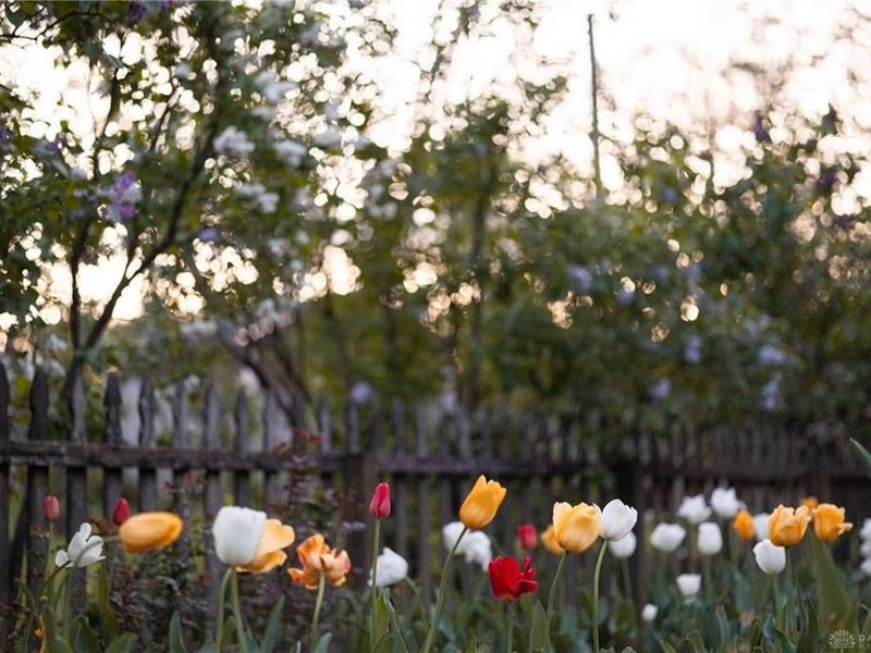 125 Gulfwood Court, Centerville, OH 45458 Photo 21