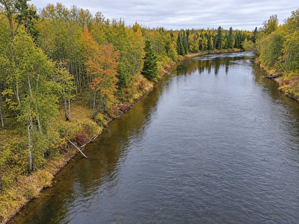 TBD Highway 5, South Koochiching, MN 56639