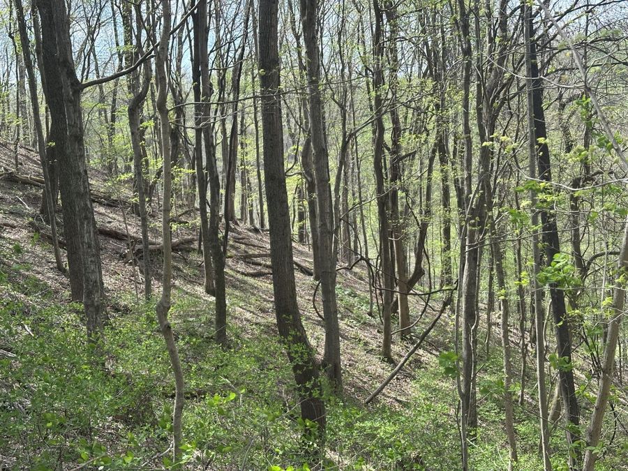 Property Image 18