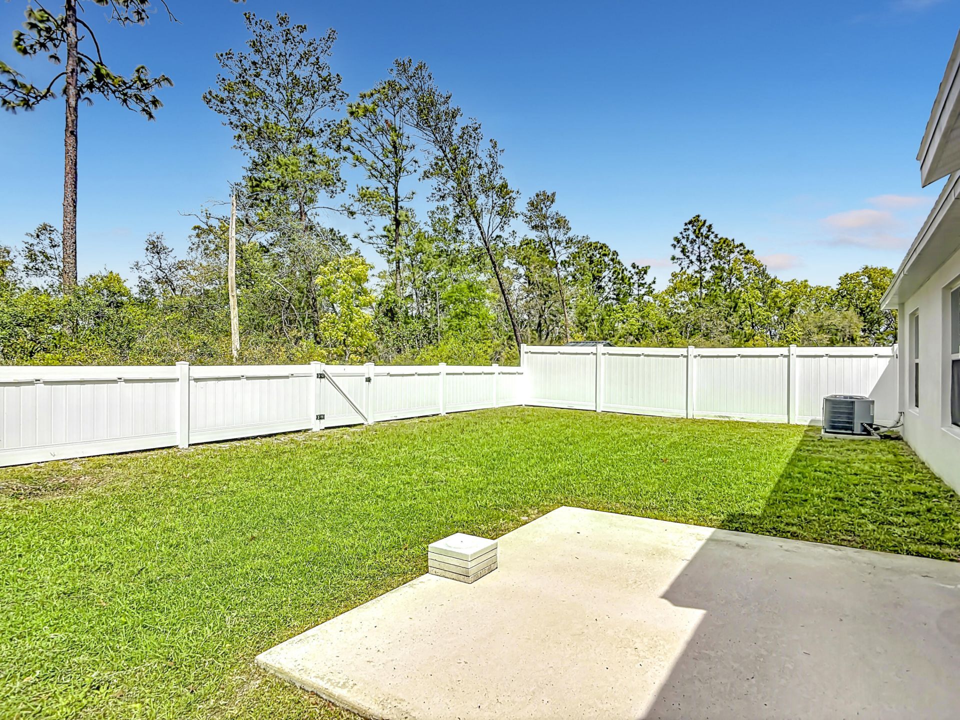 1312 Peach Creek Drive, Osteen, FL 32764 Photo