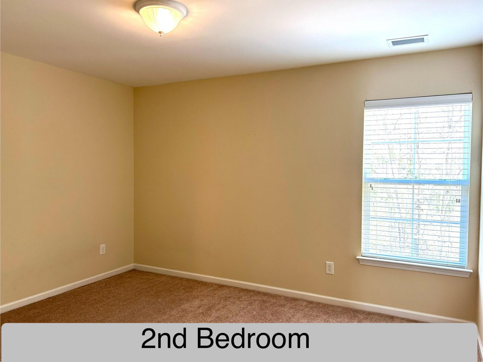 2911 Maybry Drive Photo 20