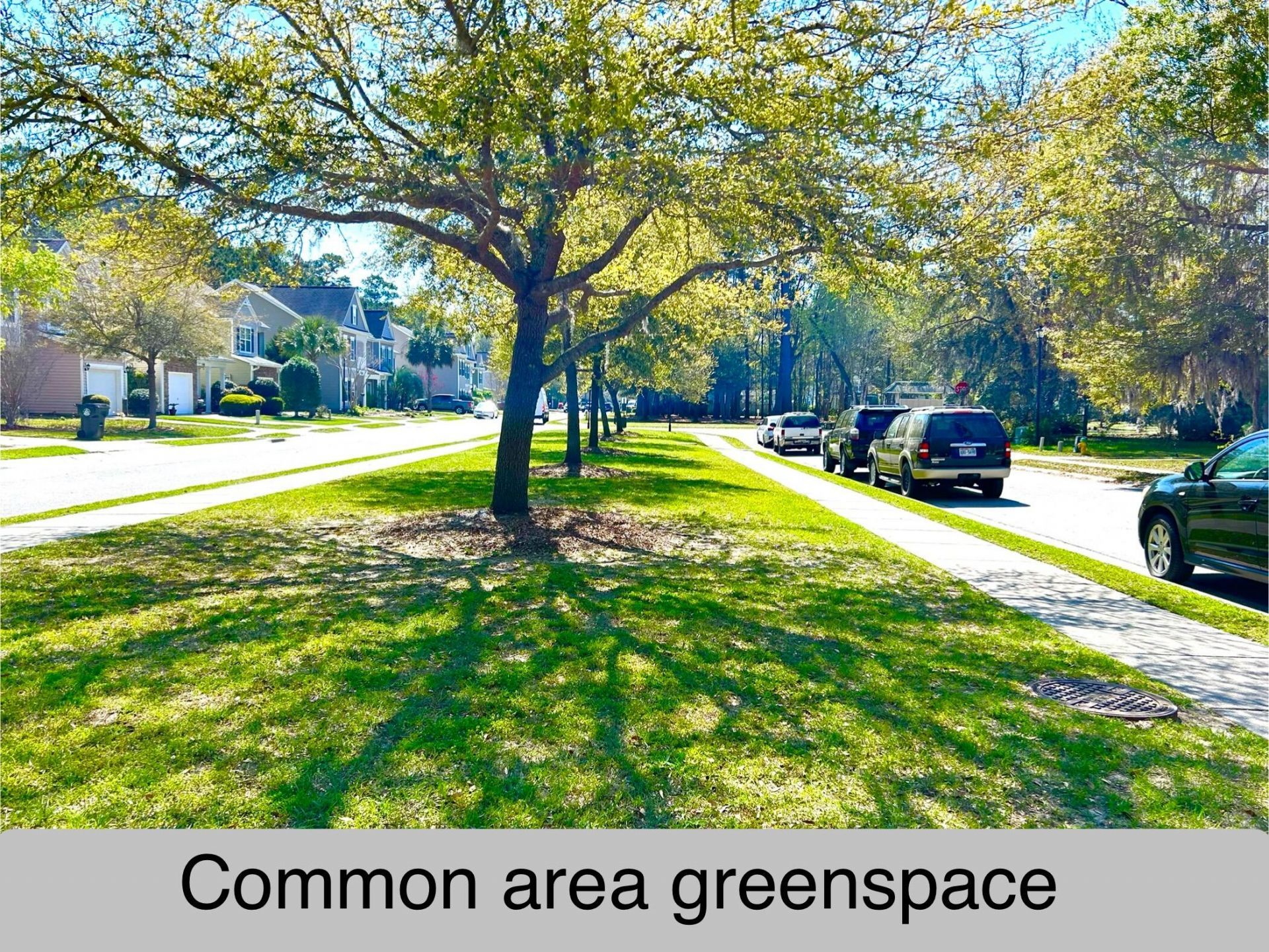 2911 Maybry Drive Photo 28