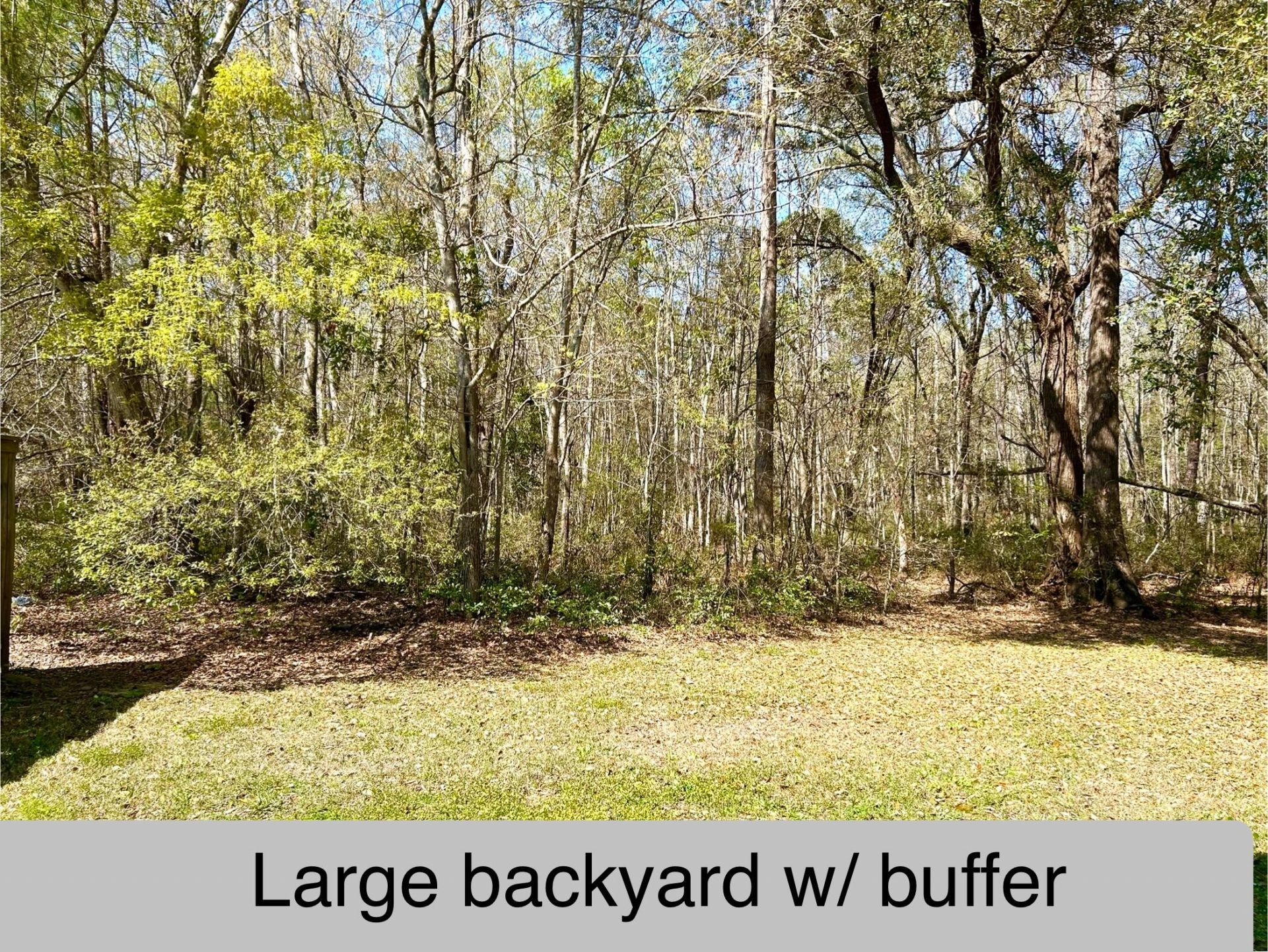 2911 Maybry Drive Photo 36