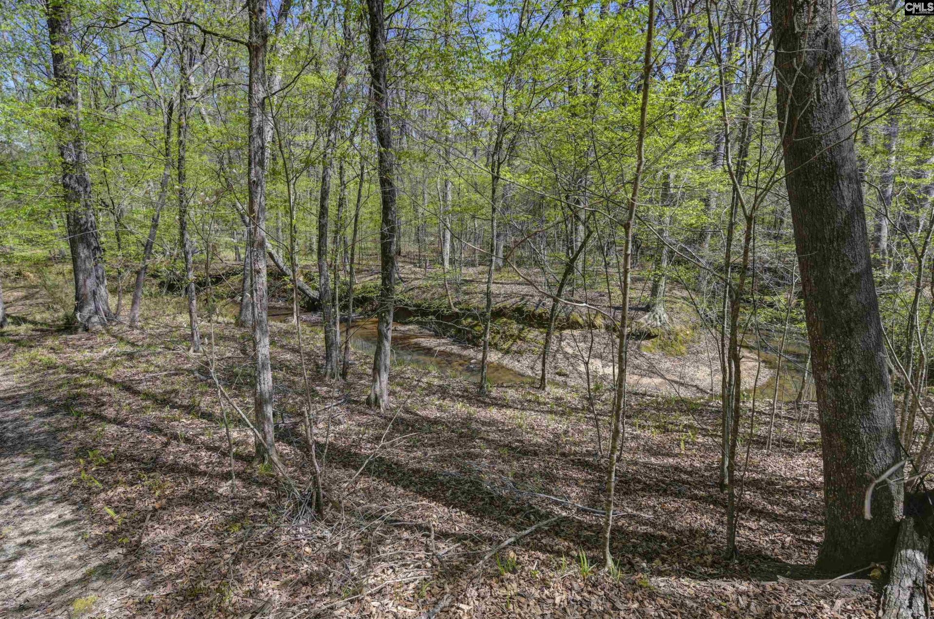 944 Cross Creek Road  Photo 58