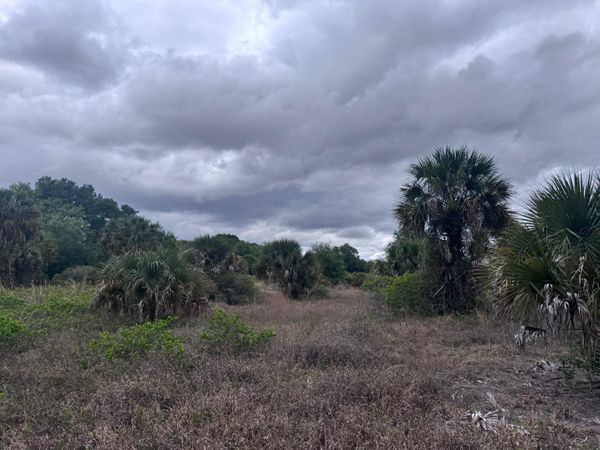 18333 NW 308th Street, Okeechobee, FL 34972